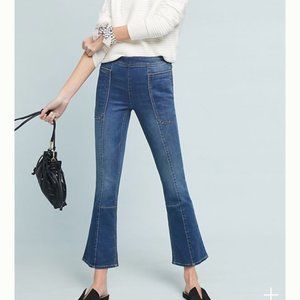 Pilcro & Letterpress Anthropologie side zip jean